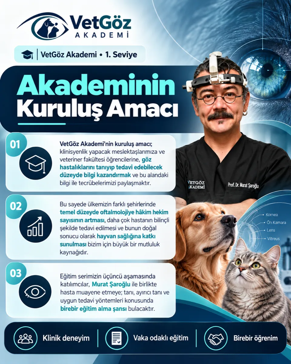 VetGöz Akademi kur tanıtım görseli — 1. Kur: Temel Oftalmoloji: Muayene, Göz Kapakları ve Kornea