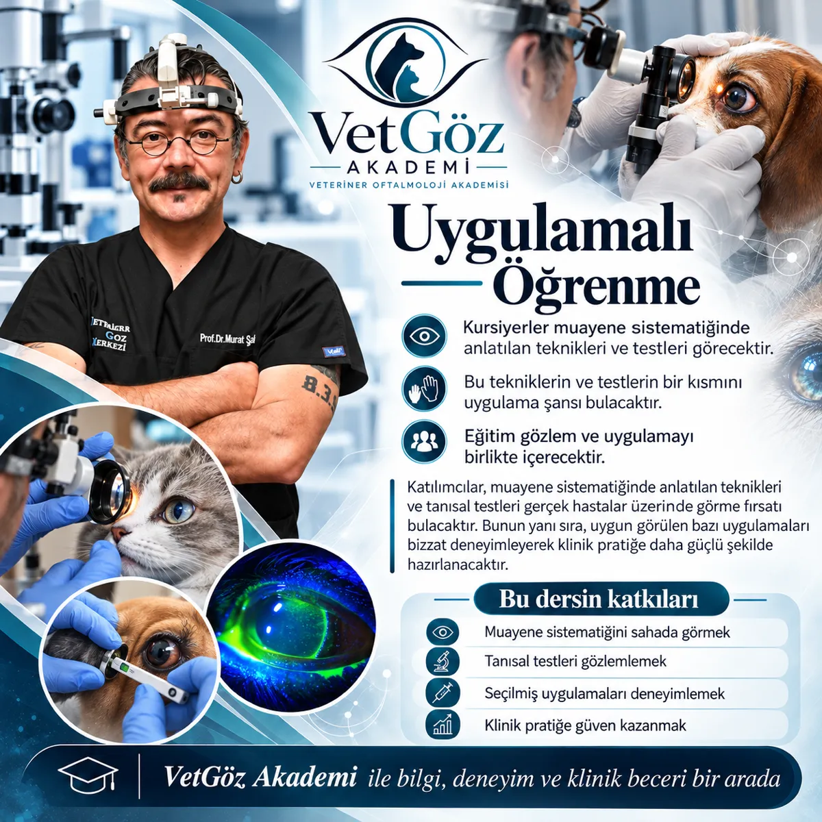 VetGöz Akademi kur tanıtım görseli — 3. Kur (4/5)